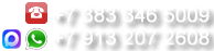 +7 383 346-5009